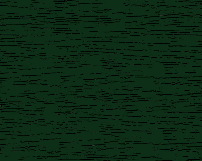 1006 Fir green