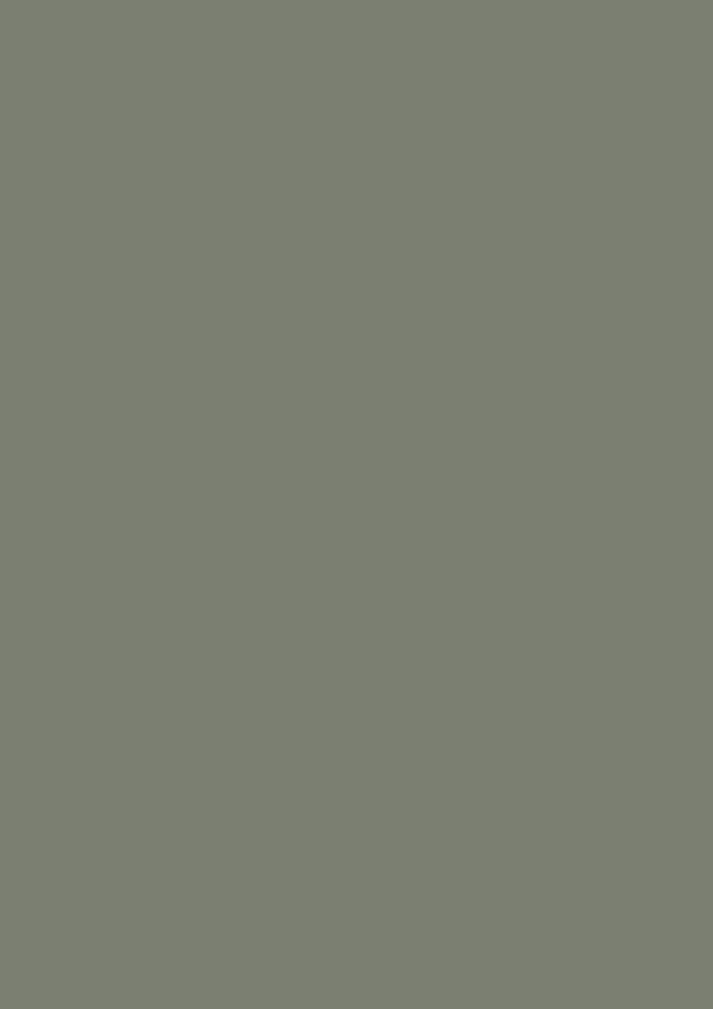 1114 Concrete grey