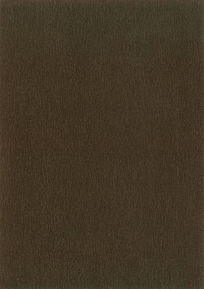 1138 Bronze