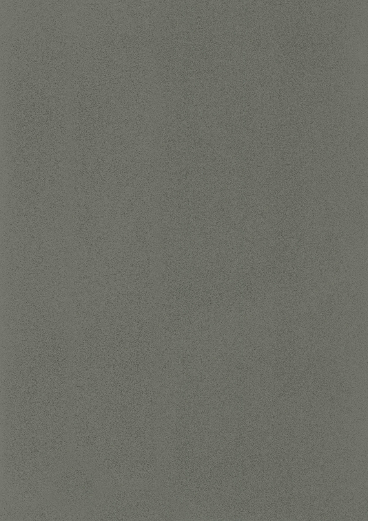 1627 Quartz grey matt