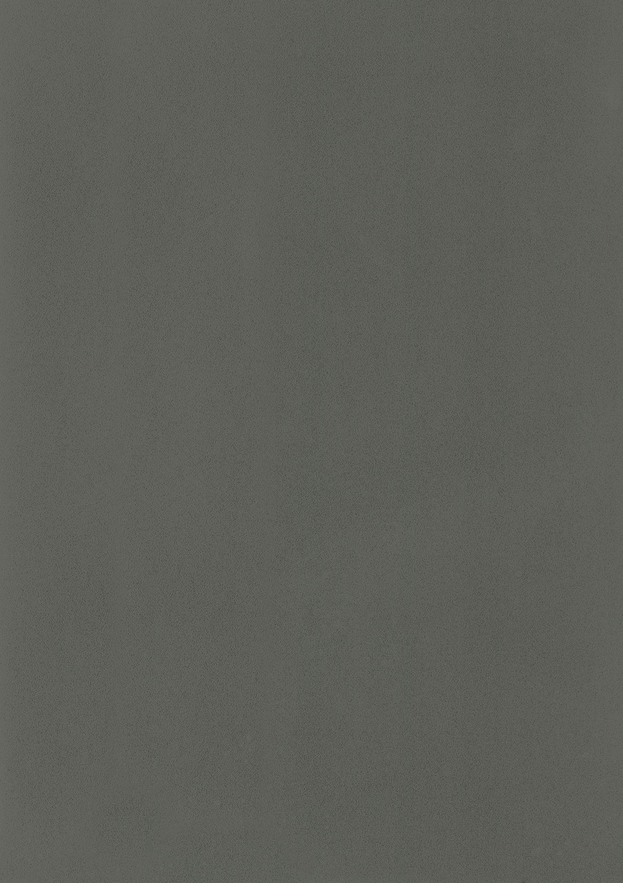1657 Basalt Grey Smooth Mat