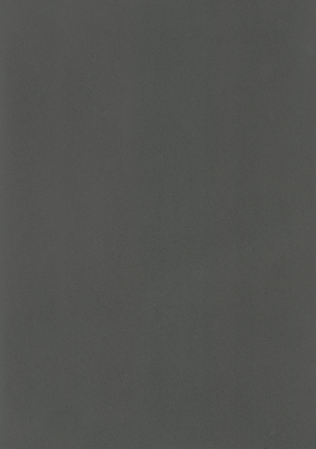 1678 Slate Grey Matt